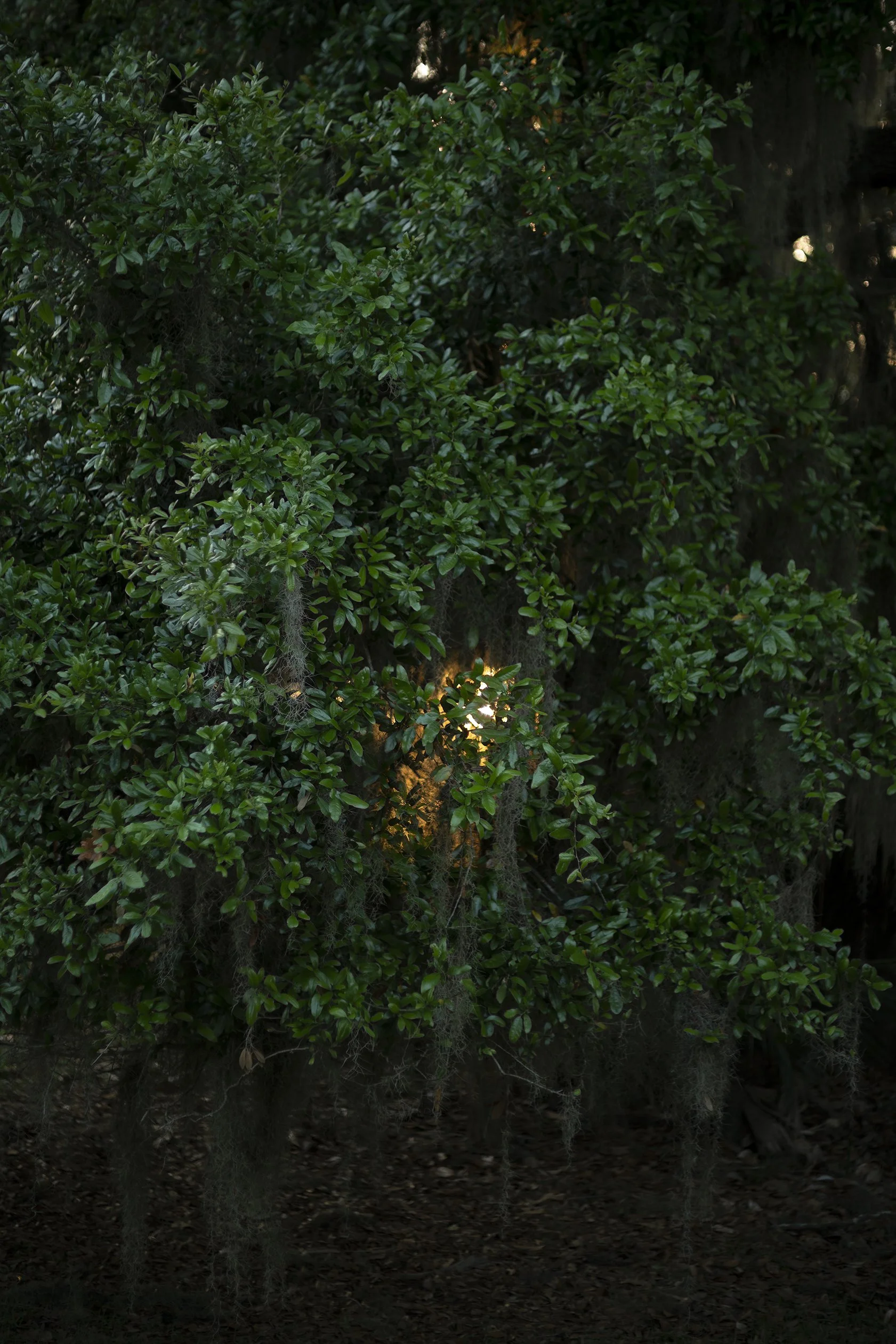 Terri Weifenbach ANOTHER SUMMER アート・デザイン・音楽 Terri